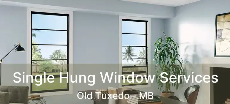 Single Hung Window Services Old Tuxedo - MB
