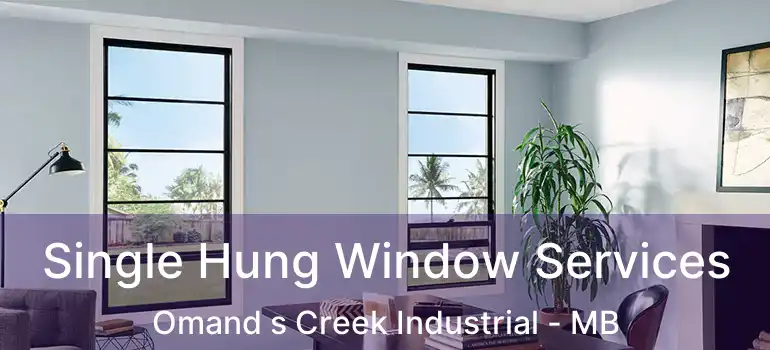  Single Hung Window Services Omand s Creek Industrial - MB