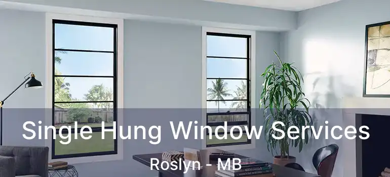  Single Hung Window Services Roslyn - MB