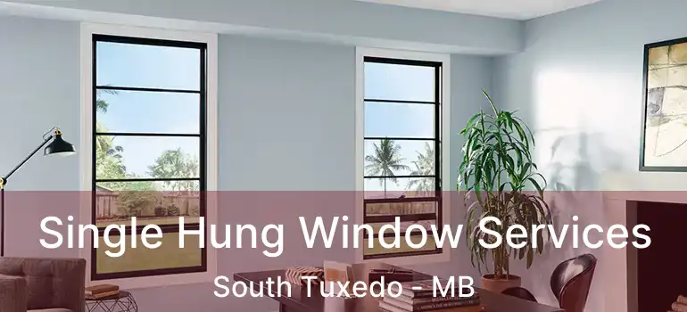  Single Hung Window Services South Tuxedo - MB