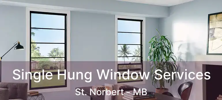  Single Hung Window Services St. Norbert - MB