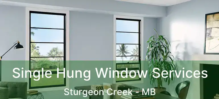  Single Hung Window Services Sturgeon Creek - MB