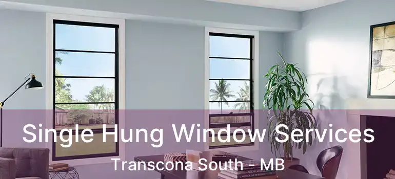  Single Hung Window Services Transcona South - MB