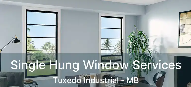  Single Hung Window Services Tuxedo Industrial - MB