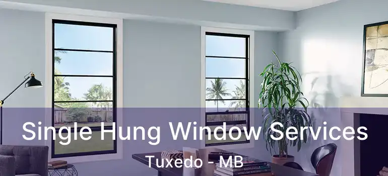  Single Hung Window Services Tuxedo - MB