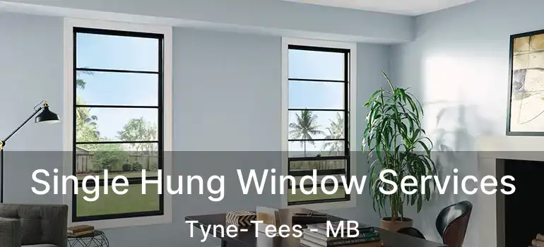  Single Hung Window Services Tyne-Tees - MB