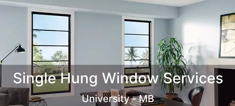  Single Hung Window Services University - MB