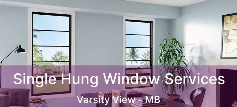  Single Hung Window Services Varsity View - MB