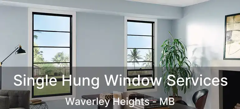  Single Hung Window Services Waverley Heights - MB