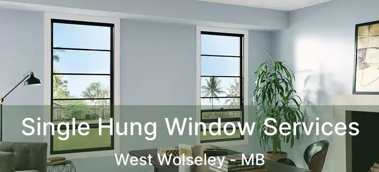  Single Hung Window Services West Wolseley - MB