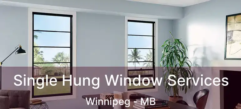  Single Hung Window Services Winnipeg - MB