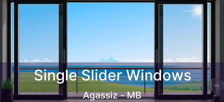  Single Slider Windows Agassiz - MB
