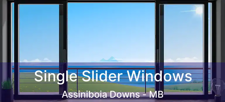  Single Slider Windows Assiniboia Downs - MB