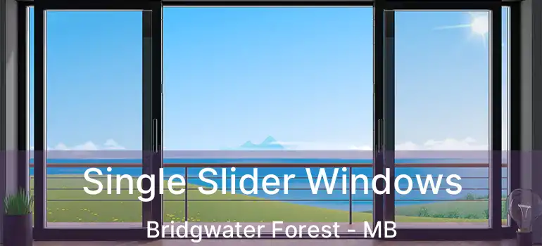  Single Slider Windows Bridgwater Forest - MB