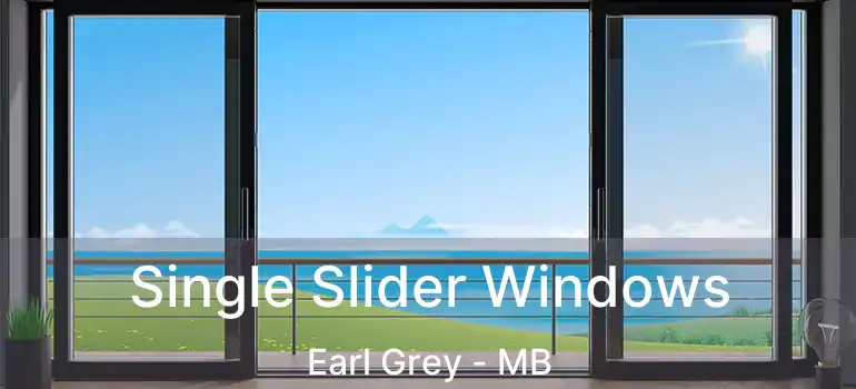  Single Slider Windows Earl Grey - MB
