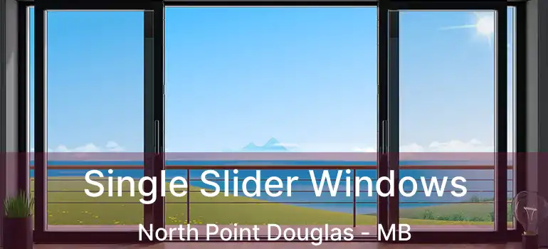  Single Slider Windows North Point Douglas - MB