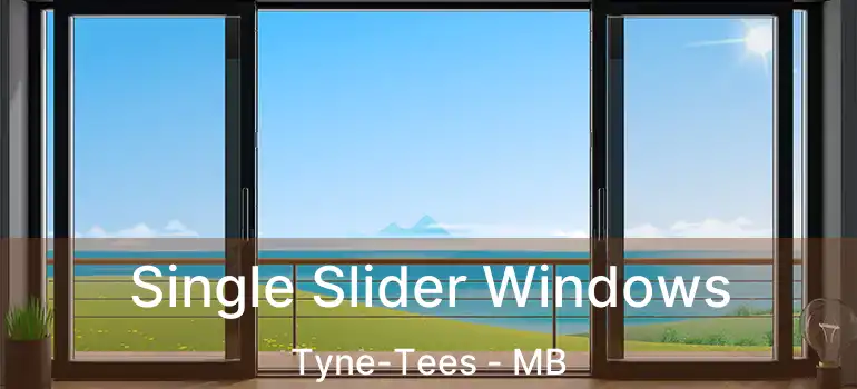  Single Slider Windows Tyne-Tees - MB