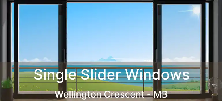  Single Slider Windows Wellington Crescent - MB