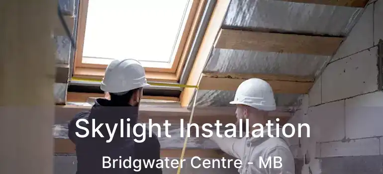  Skylight Installation Bridgwater Centre - MB