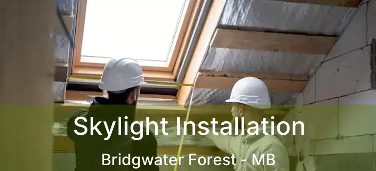  Skylight Installation Bridgwater Forest - MB