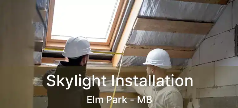  Skylight Installation Elm Park - MB