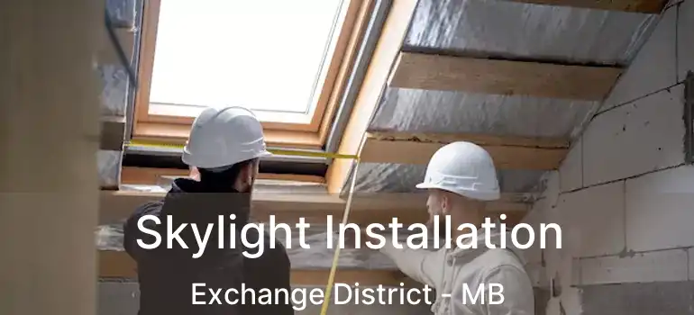  Skylight Installation Exchange District - MB