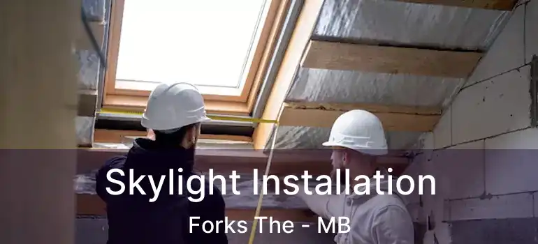  Skylight Installation Forks The - MB