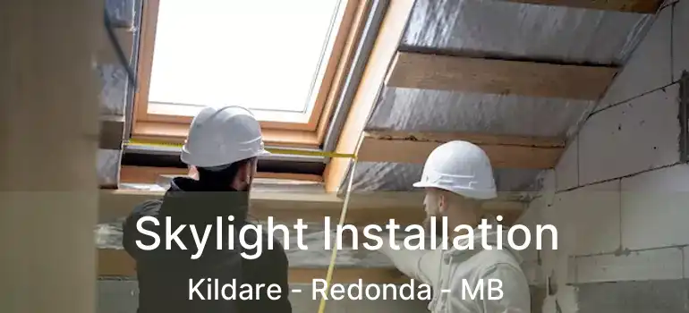  Skylight Installation Kildare - Redonda - MB