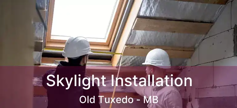  Skylight Installation Old Tuxedo - MB