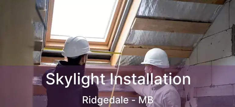  Skylight Installation Ridgedale - MB