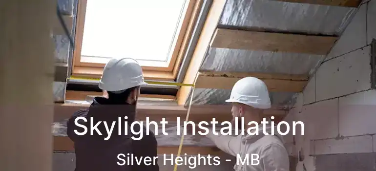  Skylight Installation Silver Heights - MB