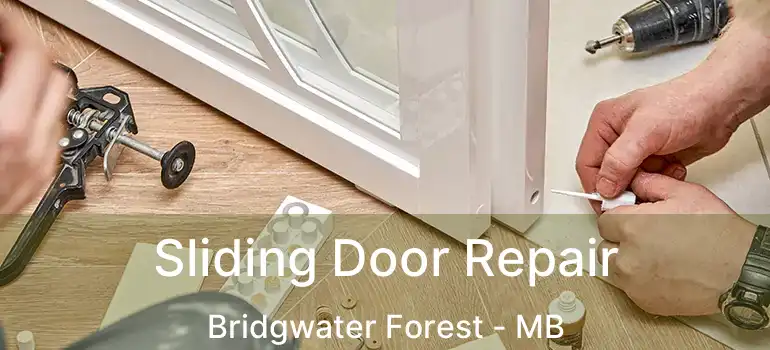  Sliding Door Repair Bridgwater Forest - MB
