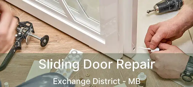  Sliding Door Repair Exchange District - MB