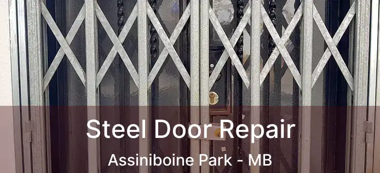 Steel Door Repair Assiniboine Park - MB
