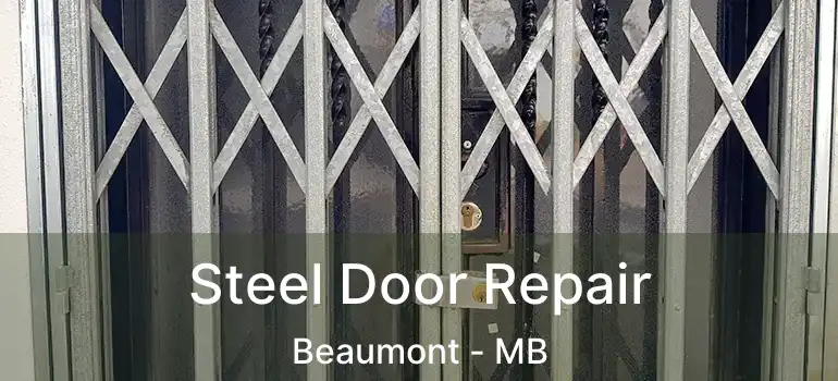  Steel Door Repair Beaumont - MB