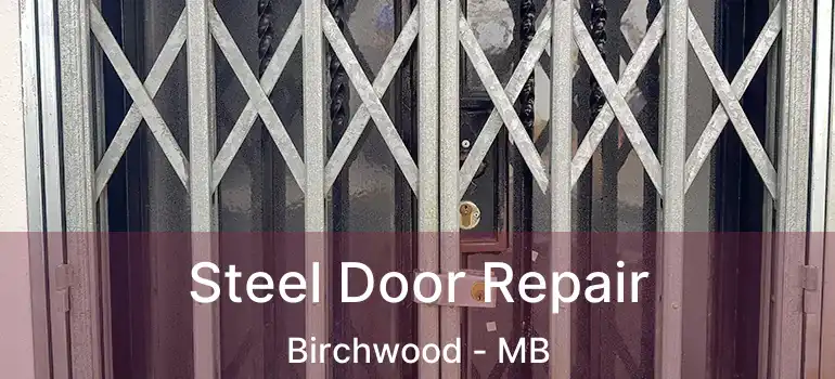  Steel Door Repair Birchwood - MB