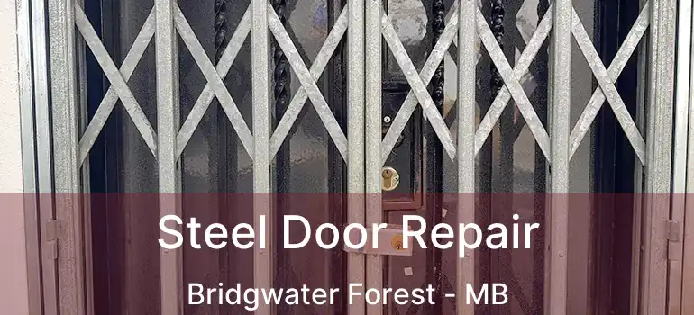 Steel Door Repair Bridgwater Forest - MB