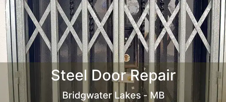  Steel Door Repair Bridgwater Lakes - MB