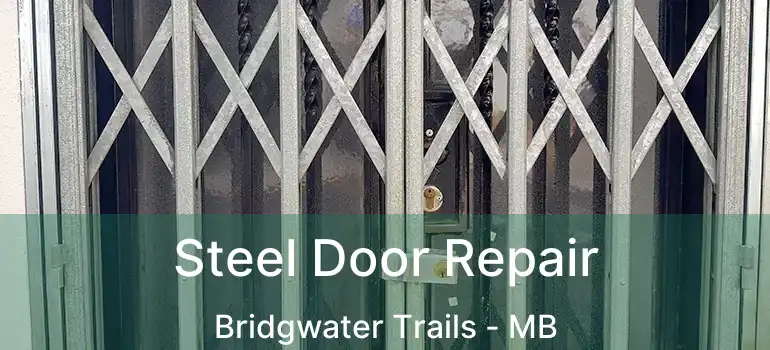  Steel Door Repair Bridgwater Trails - MB