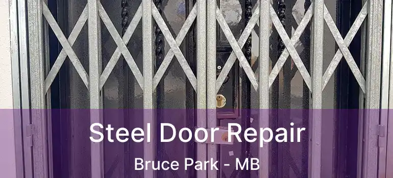  Steel Door Repair Bruce Park - MB