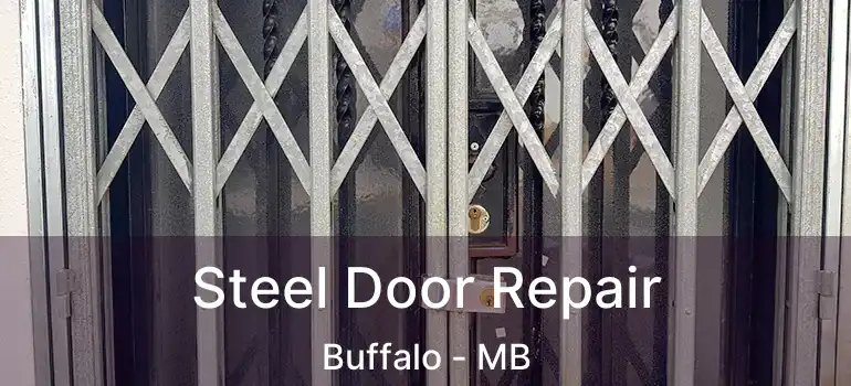  Steel Door Repair Buffalo - MB