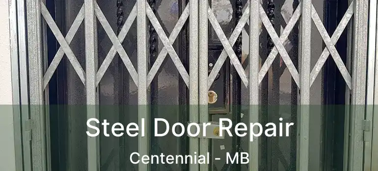  Steel Door Repair Centennial - MB