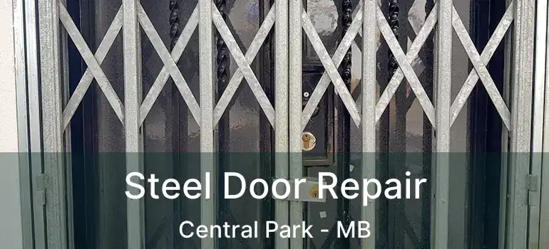  Steel Door Repair Central Park - MB