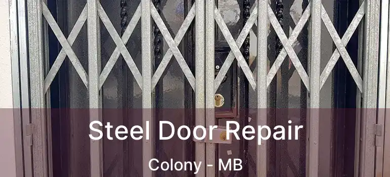  Steel Door Repair Colony - MB