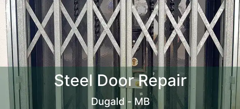  Steel Door Repair Dugald - MB