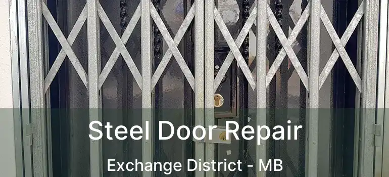  Steel Door Repair Exchange District - MB