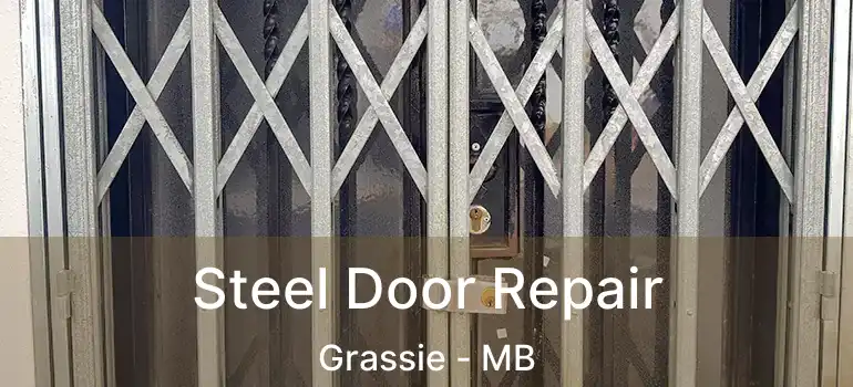  Steel Door Repair Grassie - MB