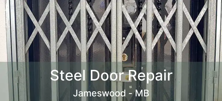  Steel Door Repair Jameswood - MB