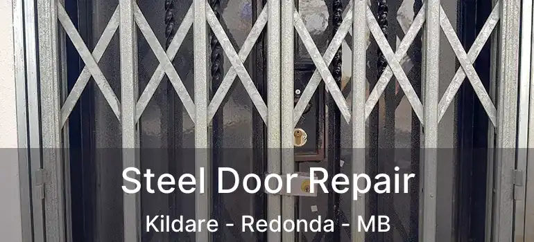  Steel Door Repair Kildare - Redonda - MB