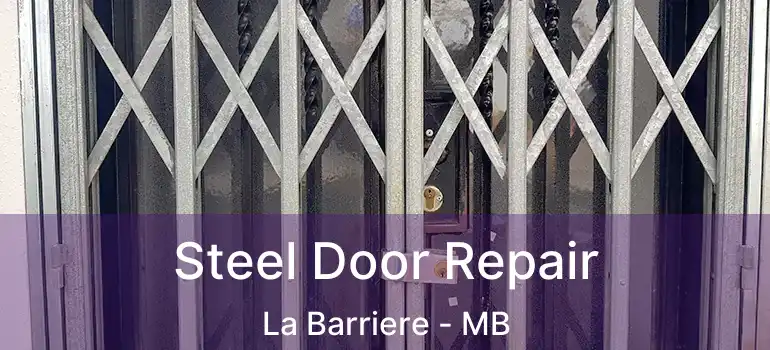  Steel Door Repair La Barriere - MB